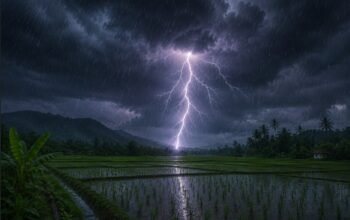 Hujan Mengguyur Gorontalo, Berikut 9 Tips Menghindari Sambaran Petir