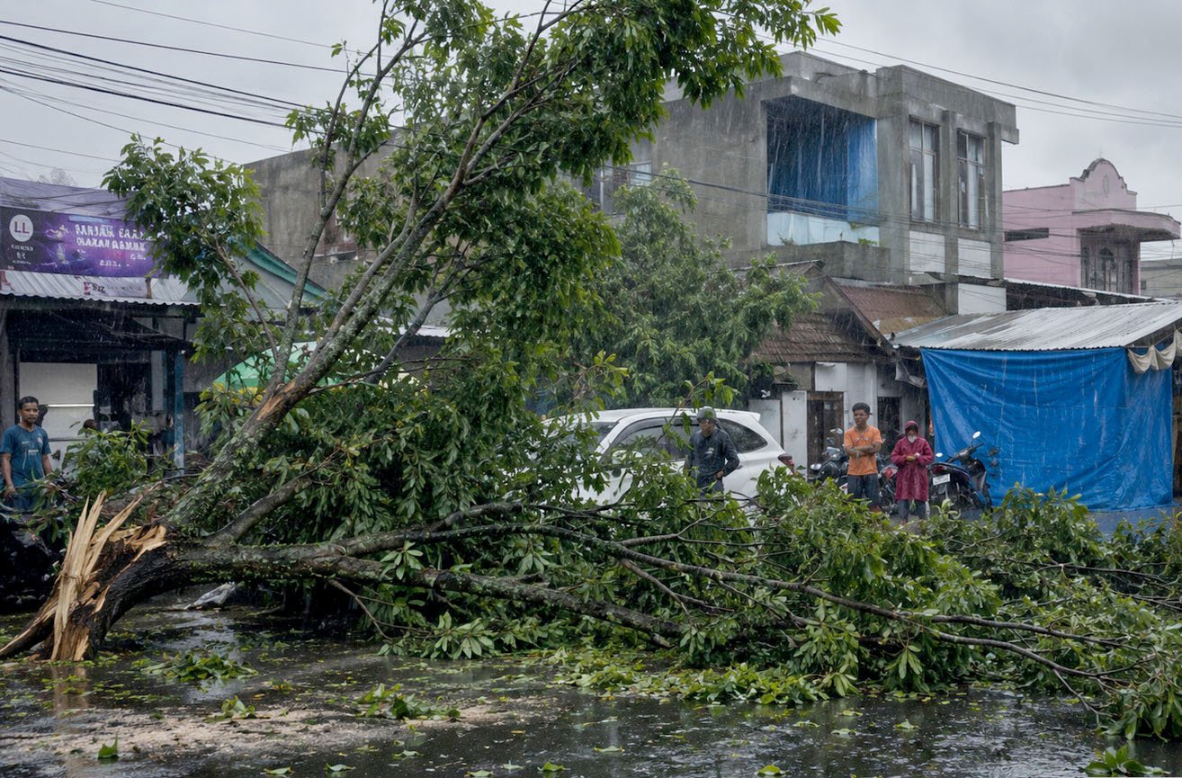 Pohon tumbang terjadi di Jalan Sam Ratulangi, Gorontalo, Jumat (16/5/2026)/Hibata.id