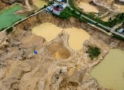 Tambang Ilegal Pohuwato Masuk Cagar Alam, 16 Hektare Dilaporkan Rusak
