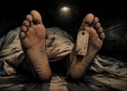 Korban Jiwa Bertambah di Tambang Suwawa, Persoalan Keselamatan Kembali Dipertanyakan/Hibata.id