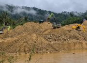 PETI Pohuwato Jadi Pemicu Malaria, Kerusakan Lingkungan dan Dampak Petani