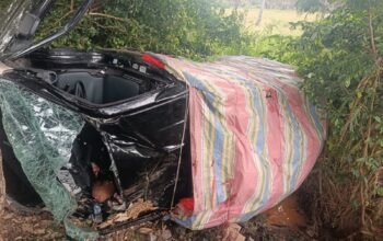 Kecelakaan di Lemito Pohuwato: Pickup Ringsek Hantam Pohon, Satu Tewas