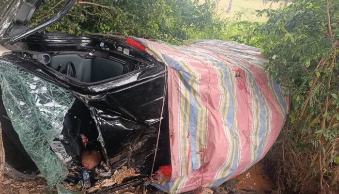 Kecelakaan di Lemito Pohuwato: Pickup Ringsek Hantam Pohon, Satu Tewas