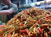 Harga Cabai Naik di 242 Daerah, Kemendagri Minta Pemda Bergerak Cepat