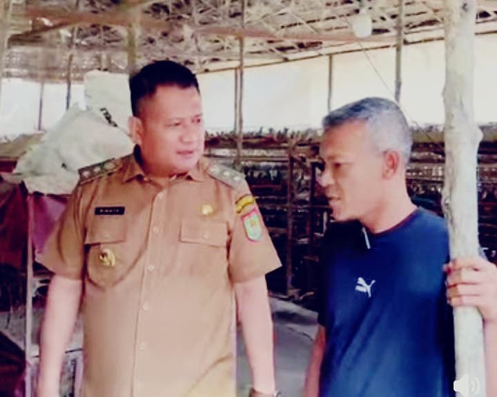 Wakil Bupati Asahan Rianto meninjau peternakan burung puyuh warga di Desa Pematang Sei Baru sebagai upaya mendorong ekonomi masyarakat melalui usaha produktif/Hibata.id