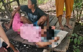 Terseret Kasus Demo, IRT di Pohuwato Nyaris Tewas Usai Minum Racun Tikus