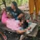 Ketegangan sengketa plasma di Pohuwato memunculkan dampak serius. Seorang warga Popayato Timur dilarikan ke puskesmas usai diduga mengonsumsi racun/Hibata.id