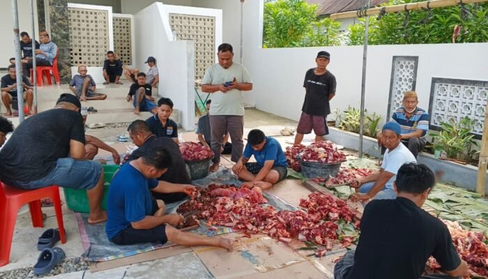 Keluarga Besar Andi Ilham Kurbankan Tiga Sapi di Masjid Baitul Ar-Rasyid