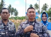 Dukung Ketahanan Pangan, Lanal Gorontalo Panen Raya Jagung Perdana di Pohuwato
