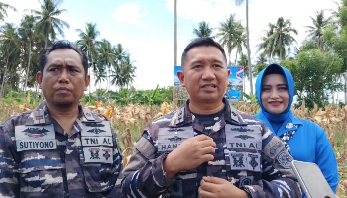 Dukung Ketahanan Pangan, Lanal Gorontalo Panen Raya Jagung Perdana di Pohuwato