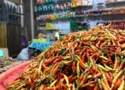 Harga Cabai Gorontalo Sedang Tajir, Tembus Rp130 Ribu per Kilogram/Hibata.id