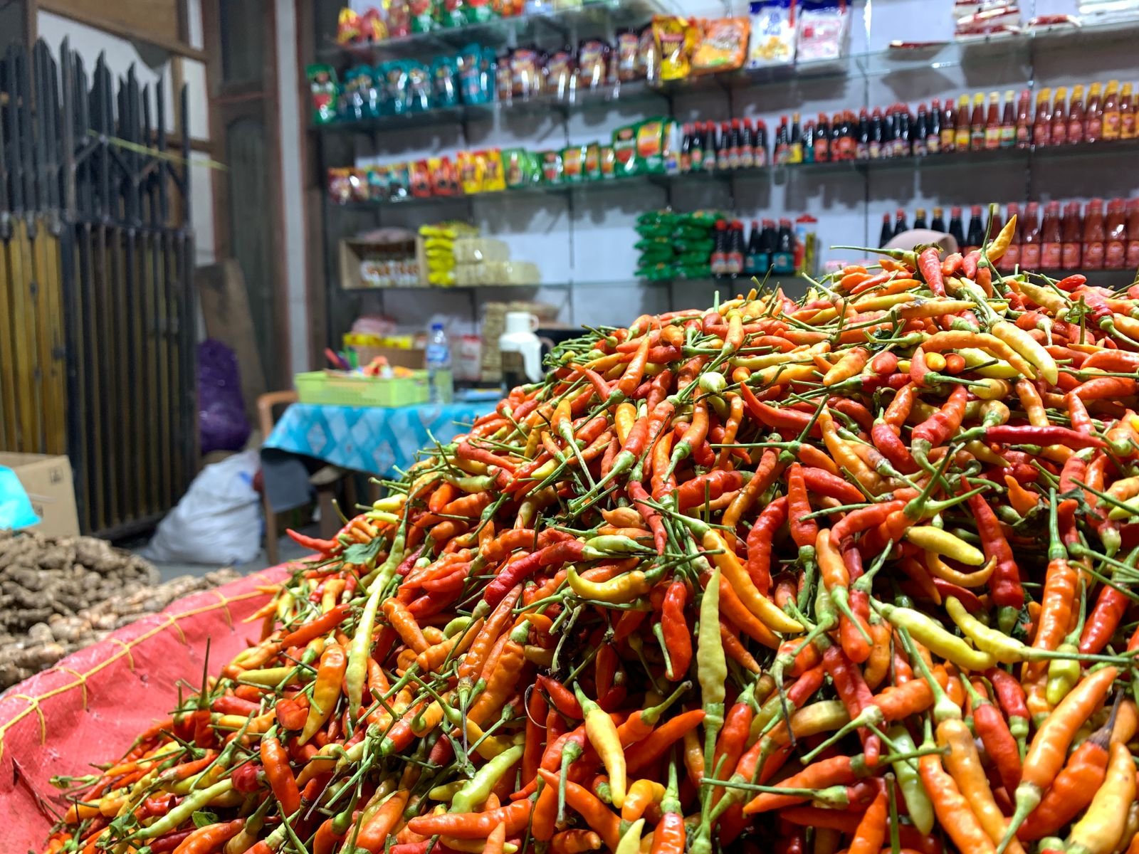 Harga Cabai Gorontalo Sedang Tajir, Tembus Rp130 Ribu per Kilogram/Hibata.id
