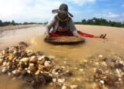 Tali Asih Penambang Pohuwato Berjalan Lambat, Baru 7 Penerima dari 114 Nama