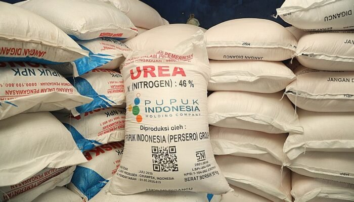 Stok Pupuk Dibilang Aman, Petani Pohuwato Justru Kesulitan Mendapatkan