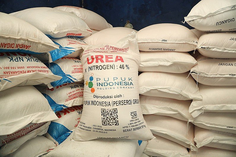 Stok Pupuk Diklaim Aman, Petani Pohuwato Justru Kesulitan Mendapatkan/Hibata.id