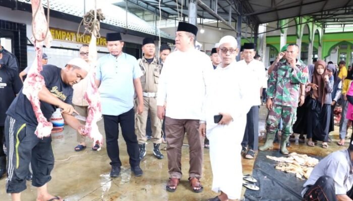 Bupati Asahan Saksikan Penyembelihan Sapi Presiden 846 Kg di Air Batu, Warga: Ini Kebanggaan Kami