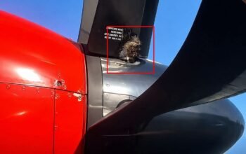 Salah satu komponen baling-baling pesawat ATR 72-600 milik Wings Air yang menjadi sorotan setelah video penggunaan kabel ties pada lapisan pelindung (deicer) viral di media sosial/Hibata.id
