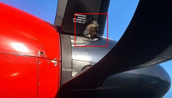 Viral Baling-Baling Pesawat Hanya Diikat Kabel Ties, Ini Penjelasan Lion Group