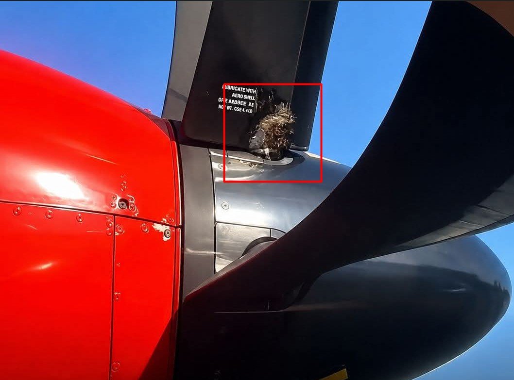 Salah satu komponen baling-baling pesawat ATR 72-600 milik Wings Air yang menjadi sorotan setelah video penggunaan kabel ties pada lapisan pelindung (deicer) viral di media sosial/Hibata.id