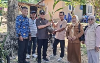 Bupati Sofyan Puhi Bagikan 4.015 Bibit Kelapa, Perkuat Ekonomi Petani Telaga Biru