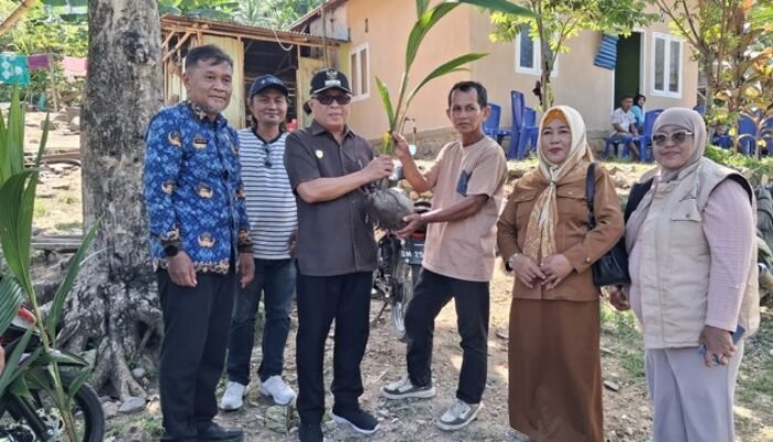Bupati Sofyan Puhi Bagikan 4.015 Bibit Kelapa, Perkuat Ekonomi Petani Telaga Biru