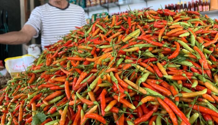 Makin Pedas, Harga Cabai Rawit Gorontalo Tembus Rp150 Ribu per Kilogram