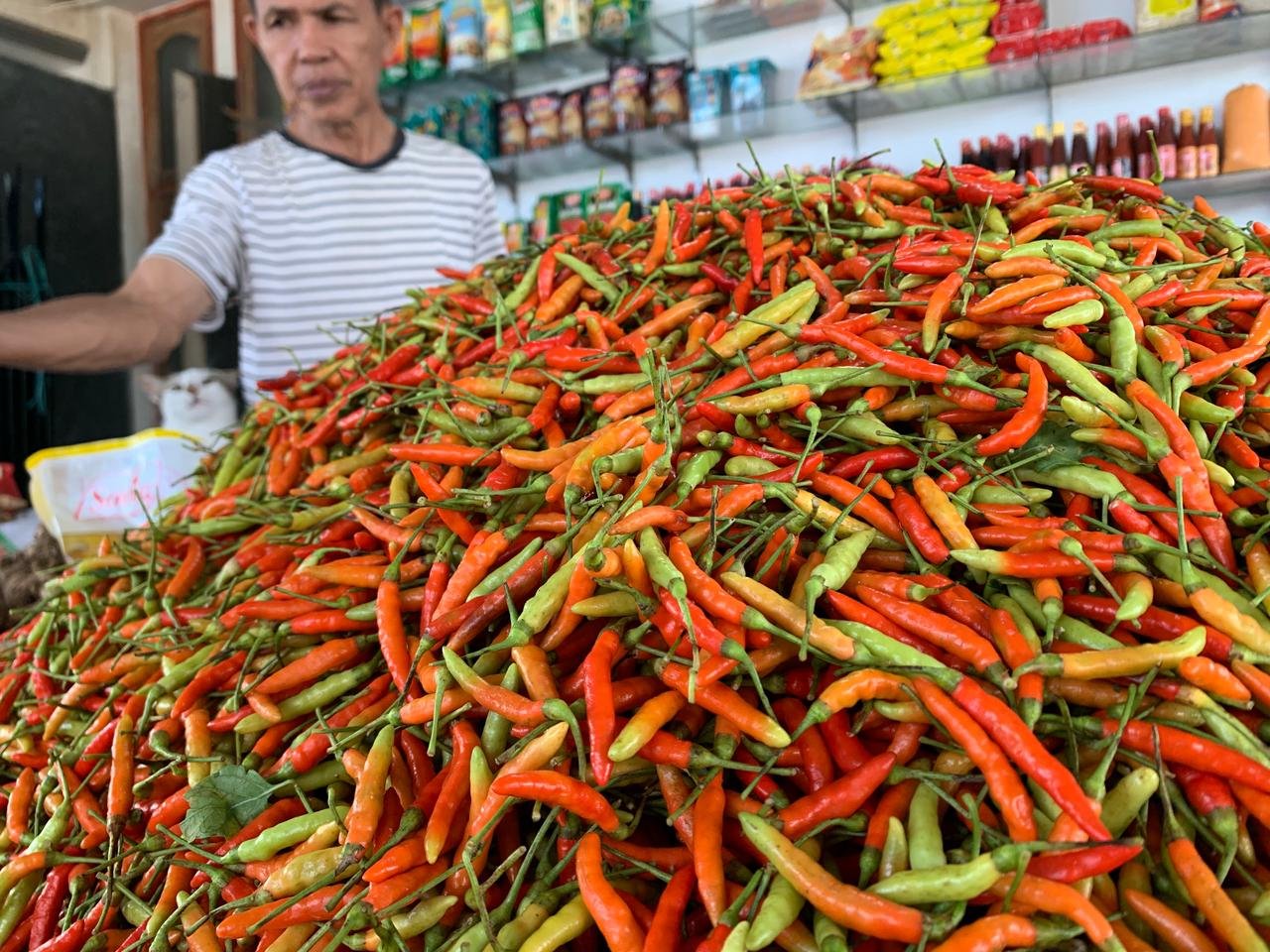 Harga cabai rawit di sejumlah pasar tradisional Gorontalo menembus Rp150 ribu per kilogram. Kenaikan harga dipengaruhi berkurangnya pasokan dari sentra produksi akibat faktor cuaca yang memengaruhi hasil panen. (Foto: Hibata.id)