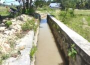 Pekerjaan normalisasi drainase tersier di Desa Molamahu, Kecamatan Paguat, rampung dalam waktu satu bulan. Saluran irigasi yang sebelumnya dipenuhi sedimentasi kini kembali lancar mengalirkan air ke lahan pertanian petani/Hibata.id