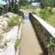 Pekerjaan normalisasi drainase tersier di Desa Molamahu, Kecamatan Paguat, rampung dalam waktu satu bulan. Saluran irigasi yang sebelumnya dipenuhi sedimentasi kini kembali lancar mengalirkan air ke lahan pertanian petani/Hibata.id