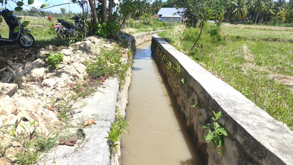 Pekerjaan normalisasi drainase tersier di Desa Molamahu, Kecamatan Paguat, rampung dalam waktu satu bulan. Saluran irigasi yang sebelumnya dipenuhi sedimentasi kini kembali lancar mengalirkan air ke lahan pertanian petani/Hibata.id