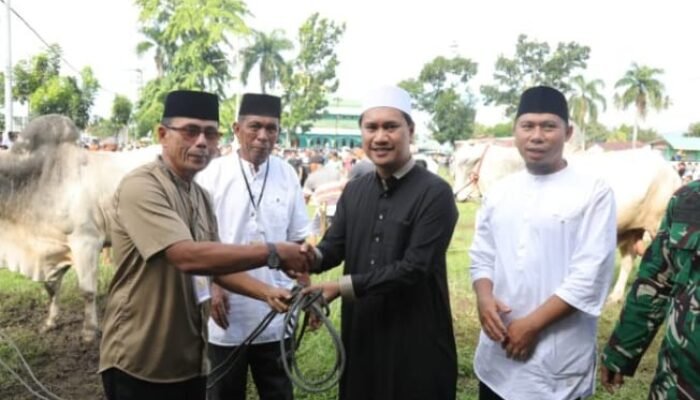 Wawali Rendy Salurkan Empat Sapi Kurban untuk Warga Motoboi Kecil