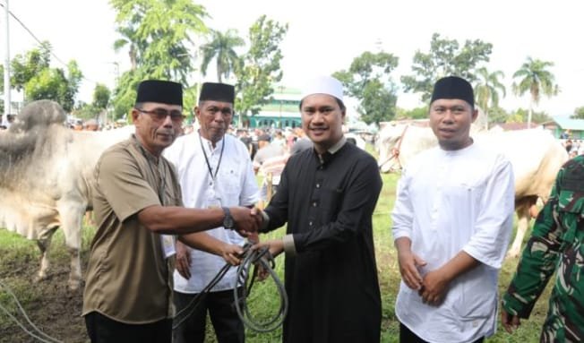 Wakil Wali Kota Kotamobagu, Rendy Virgiawan Mangkat (RVM), menyalurkan empat ekor sapi kurban kepada masyarakat Kelurahan Motoboi Kecil pada perayaan Hari Raya Idul Adha 1447 Hijriah. (Foto: Humas)