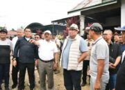 Bersama Rahmat Gobel, Bupati dan Wabup Boalemo Saksikan Panen Raya Pedet Sapi Hasil Inseminasi Buatan