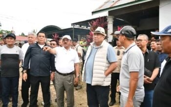 Bersama Rahmat Gobel, Bupati dan Wabup Boalemo Saksikan Panen Raya Pedet Sapi Hasil Inseminasi Buatan