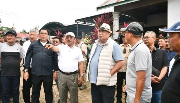 Bersama Rahmat Gobel, Bupati dan Wabup Boalemo Saksikan Panen Raya Pedet Sapi Hasil Inseminasi Buatan