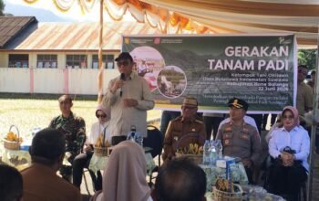 Kementerian Pertanian mengapresiasi produktivitas padi Kabupaten Bone Bolango yang mencapai 6 hingga 12 ton per hektare/Hibata.id
