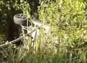 Mobil Terperosok di Hutan Lindung Marisa, Warga Desak Pemasangan Pembatas Jalan