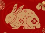 Shio Kelinci Diprediksi Masuki Fase Positif/Hibata.id