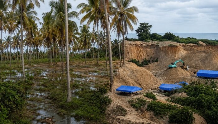 Puluhan Pohon Kelapa Petani Rusak Akibat PETI di Botubilotahu