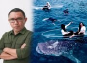 Kolase foto warga Kabila Bone, Noldi Katili (kiri), dan aktivitas wisata Hiu Paus di Desa Botubarani, Kabupaten Bone Bolango (kanan). Noldi menilai rencana kenaikan tarif wisata hingga Rp1 juta per orang perlu dikaji agar tidak berdampak pada kunjungan wisatawan/Hibata.id