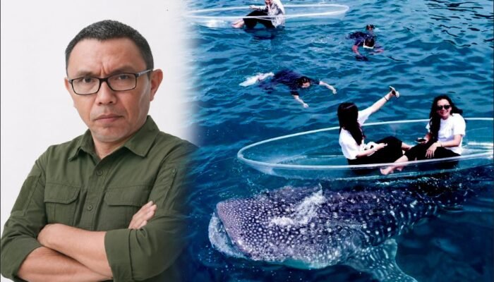 Tarif Hiu Paus Gorontalo Rp1 Juta per Orang, Noldi Ingatkan Hal ini