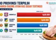 Grafis - Harga Daging Ayam di Gorontalo Jadi Tertinggi Se-Indonesia/Hibata.id