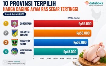 Grafis - Harga Daging Ayam di Gorontalo Jadi Tertinggi Se-Indonesia/Hibata.id