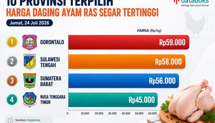 Harga Daging Ayam di Gorontalo Tertinggi Se-Indonesia, Kok Bisa?