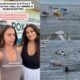 Wisatawan Asing Ngaku Diancam Dibunuh Usai Rekam Hiu Paus Botubarani/Hibata.id