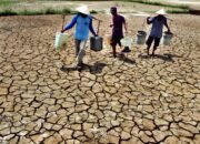 BMKG memprediksi sebagian besar wilayah Gorontalo mengalami kondisi lebih kering hingga September 2026 akibat El Nino. BPBD menyiapkan distribusi air bersih/Hibata.id