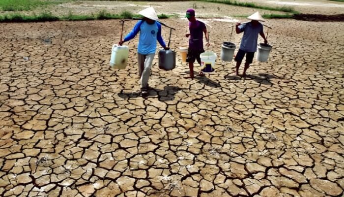 Dampak El Nino, BMKG Prediksi Gorontalo Dilanda Musim Kering Paling Parah