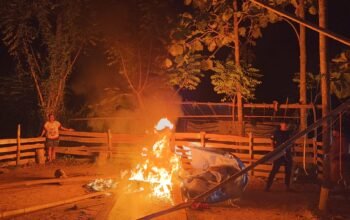 Arena Sabung Ayam di Pohuwato Dibongkar Polsek Popayato Usai Aduan Warga