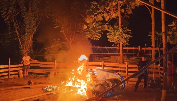 Arena Sabung Ayam di Pohuwato Dibongkar Polsek Popayato Usai Aduan Warga
