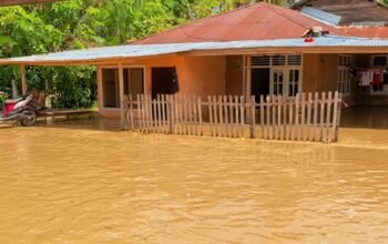 Kondisi rumah warga di Desa Bulangita, Kecamatan Marisa, Kabupaten Pohuwato, yang terendam banjir setelah hujan deras. Warga kembali menyoroti dugaan dampak aktivitas pertambangan emas tanpa izin (PETI) di kawasan hulu terhadap kondisi lingkungan di sekitar daerah aliran sungai/Hibata.id